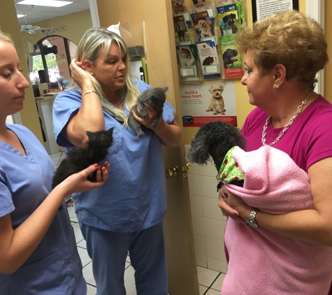 Sandalfoot Animal Clinic and Bird Hospital - Boca Raton, FL