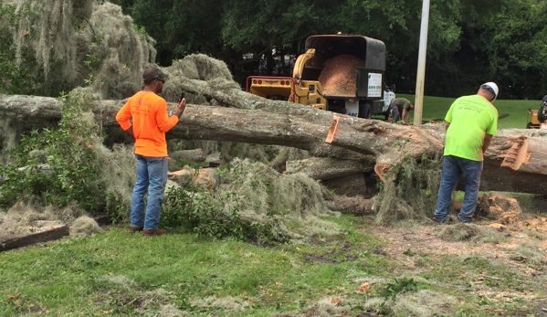 Kevin's Tree Service - Oviedo, FL