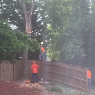 Cowarts Tree Removal - Suwanee, GA