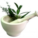Longevity Mountain Chinese Herbs - Herbs