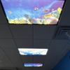 Fyzical Therapy & Balance Centers - Northlake gallery