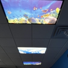 Fyzical Therapy & Balance Centers - Northlake