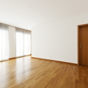 Gallery Image Number 6