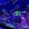 Poseidon Aquarium gallery