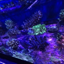 Poseidon Aquarium - Pet Stores