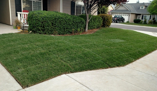 Picture Perfect Lawn - Fresno, CA