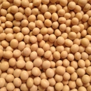 Signature Soy - Chinese Grocery Stores
