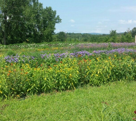 Kelder's Farm - Kerhonkson, NY