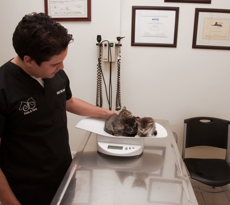 Pets & Vets Animal Clinic - Miami Beach, FL