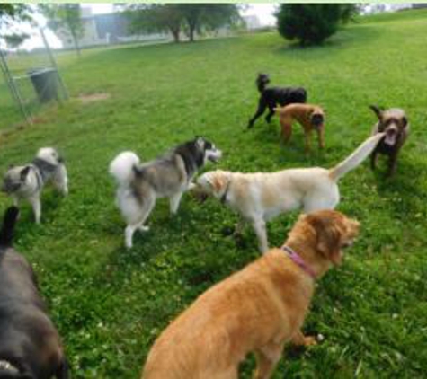 Man's Best Friend Pet Resort - Belton, MO