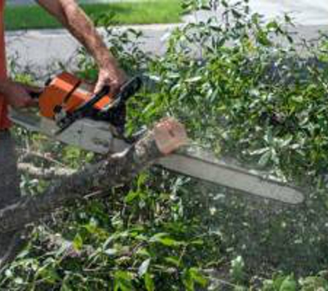 Southeastern Tree Service - Savannah, GA