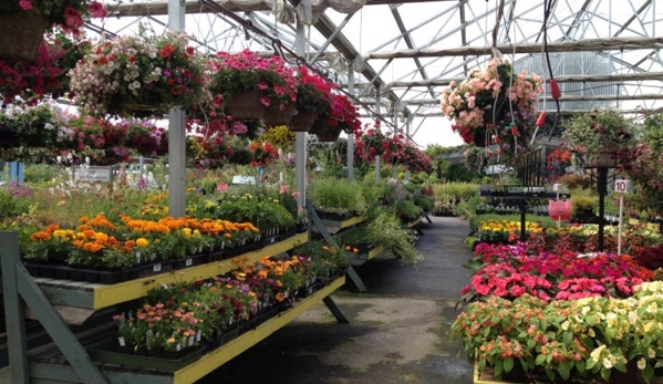 Gray's Garden Center - Springfield, OR