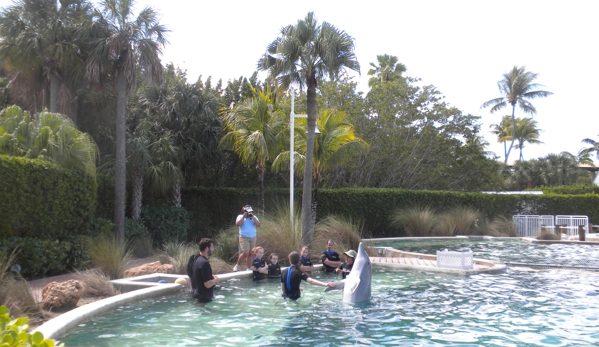 Miami Swim with Dolphin Tours - Miami, FL