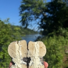Joey's Bagels - Asheville