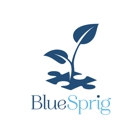 BlueSprig at the MAC