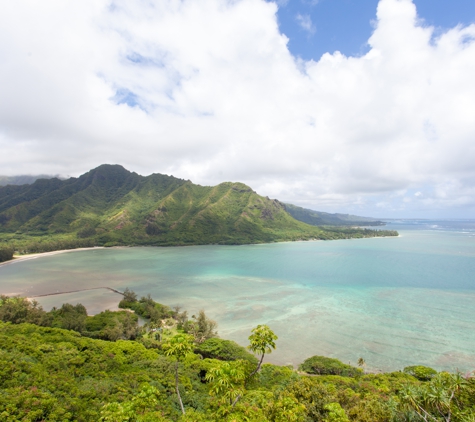 Aloha Surf Tours - Kaaawa, HI