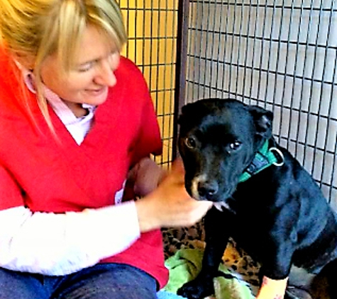 Marius Small Animal Veterinary Clinic - Tamworth, NSW