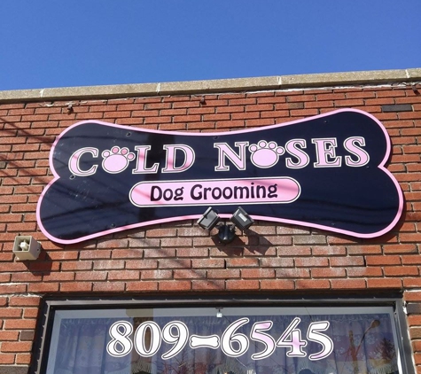 Cold Noses - Massapequa, NY