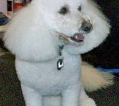 Brush Strokes Pet Grooming Studio - Oak Ridge, TN