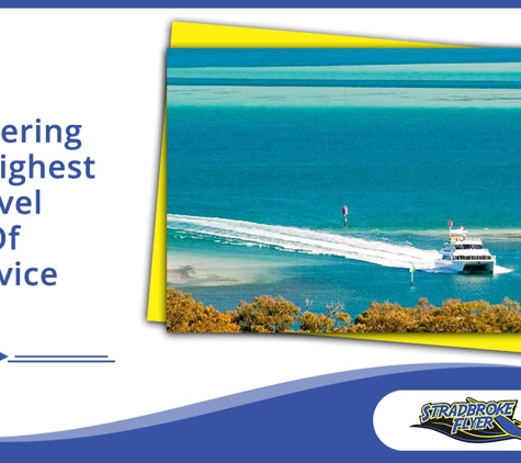 Stradbroke Flyer Gold Cats - Cleveland, QLD. Delivering The Highest Level Of Service
