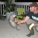 A Wildlife Pro DFW - Animal Removal Services