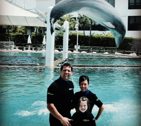 Miami Swim with Dolphin Tours - Miami, FL