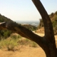 Runyon Canyon Properties