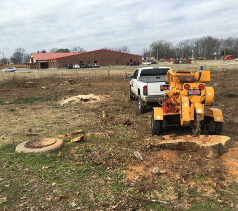 Shelton Stump Grinding - Ward, AR