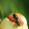 City Termite & Pest Control gallery
