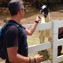 Malibu Wine Hikes - Sightseeing Tours