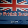 British Bulldog gallery