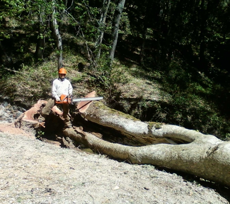 Golden State Tree Service