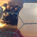 MICHELLE'S CHICKENS & DUCKS MORE - Poultry Hatcheries