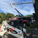 Randan tree service - Tree Service
