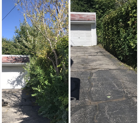 Clean it up! Property Services - Lambertville, MI. Property line cleanup