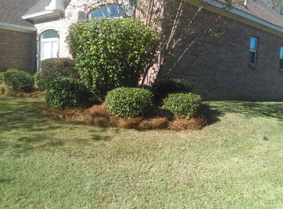 Manogin and Younger Lawn Service - Jackson, MS