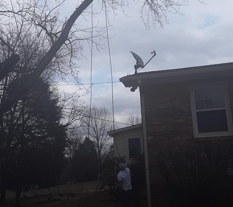 D & A Tip Top Tree Service - Waverly, TN