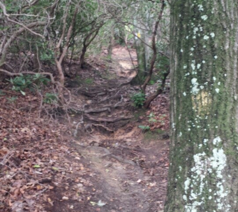 Table Rock State Park - Pickens, SC