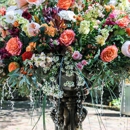 The Pod Shop - Florists