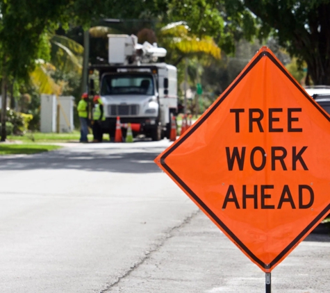 Tree Tech Services - Sacramento, CA