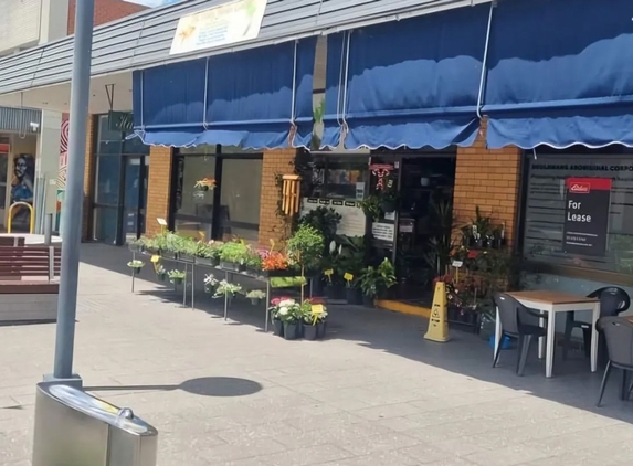 Valley Garden Centre - Kempsey, NSW