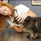 Princeton Animal Hospital & Carnegie Cat Clinic