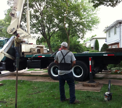 Nature Tree Service - Oak Ridge, NJ