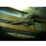 Gallery Image Number 6
