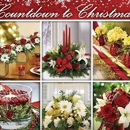A House Of Flowers - Flowers, Plants & Trees-Silk, Dried, Etc.-Retail