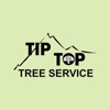 Tip Top Tree Service gallery