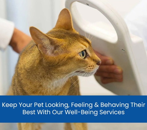 Fairfield West Veterinary Surgeons - Fairfield West, NSW. Keep Your Pet Looking, Feeling & Behaving Their Best With Our Well-Being Services