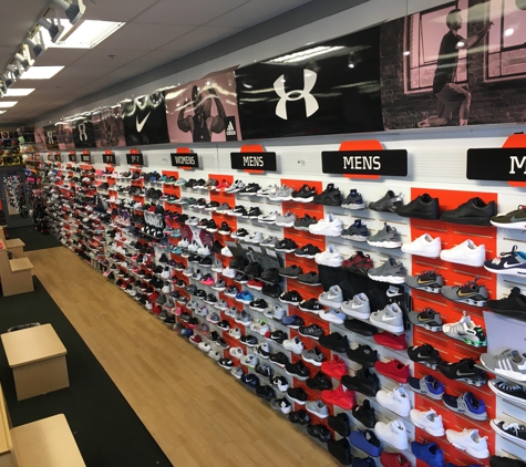 Hibbett Sports - Covington, TN