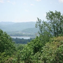 Asheville Vacation Cabins Inc - Vacation Homes Rentals & Sales