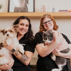 Sploot Veterinary Care - Highlands